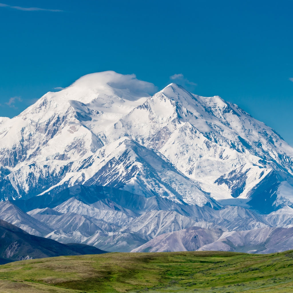 Alaskan Running Cruise