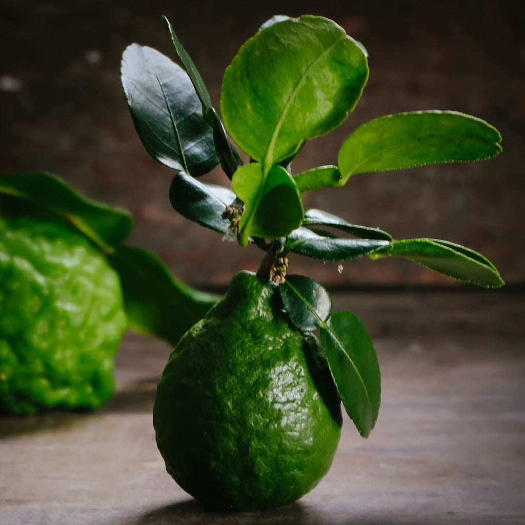 Bergamot Oil, Calabria, Italy