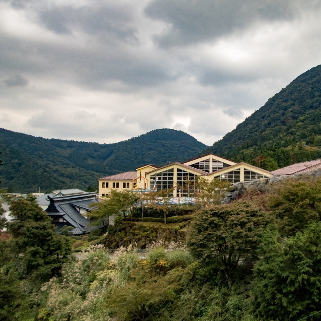 Kowakien Yunessun Spa & Resort, Hakone, Japan