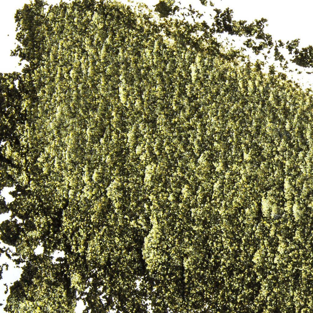 Mayan Algae Mud, Yucatan, Mexico
