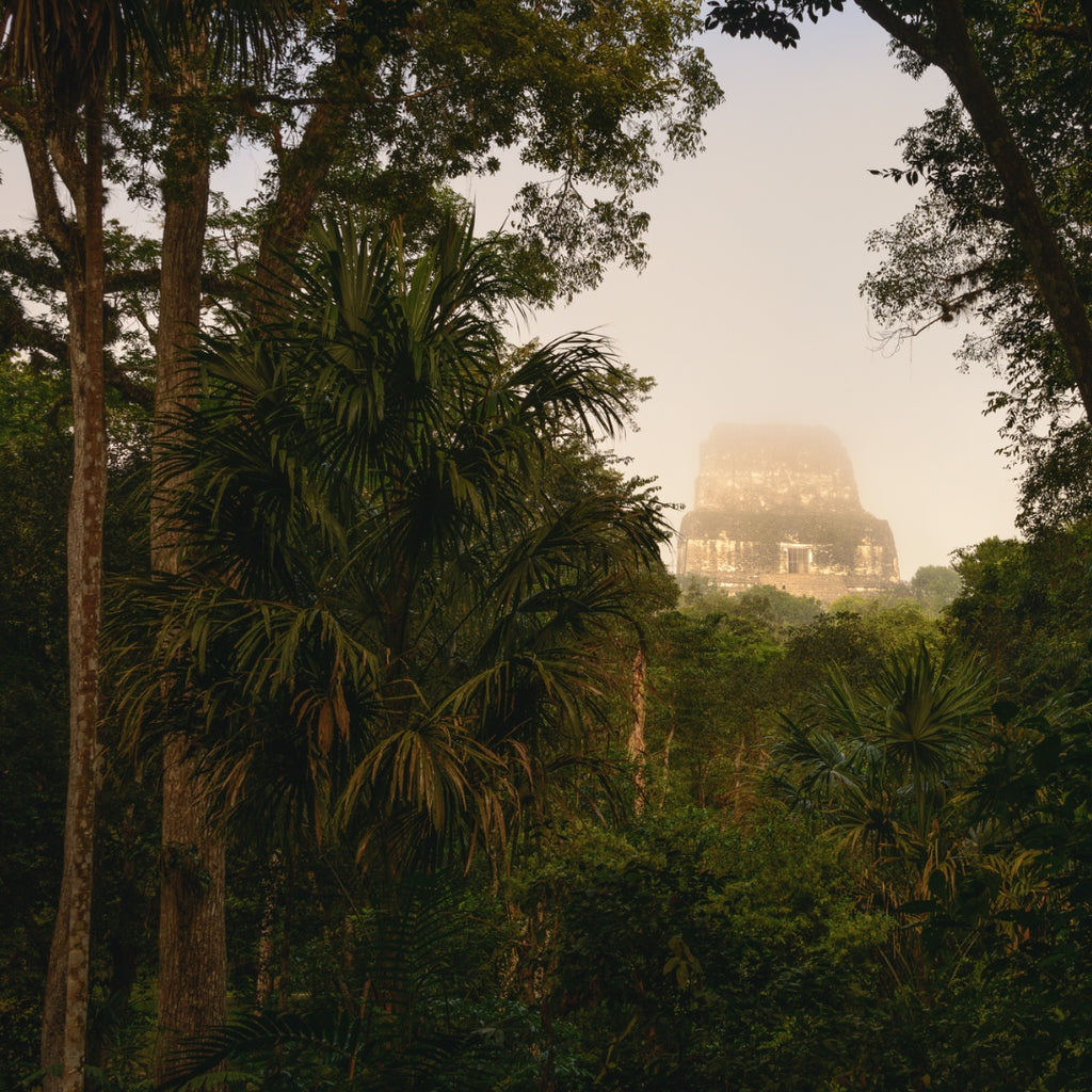 Tikal, Guatemala