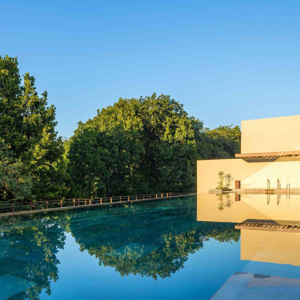 Vana Malsi Estate, India