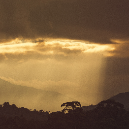 Río Plátano Biosphere Reserve, Honduras