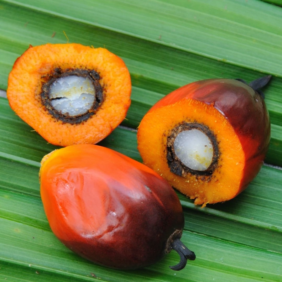 Ojon Oil for Hair: 5 Benefits and How to Use It