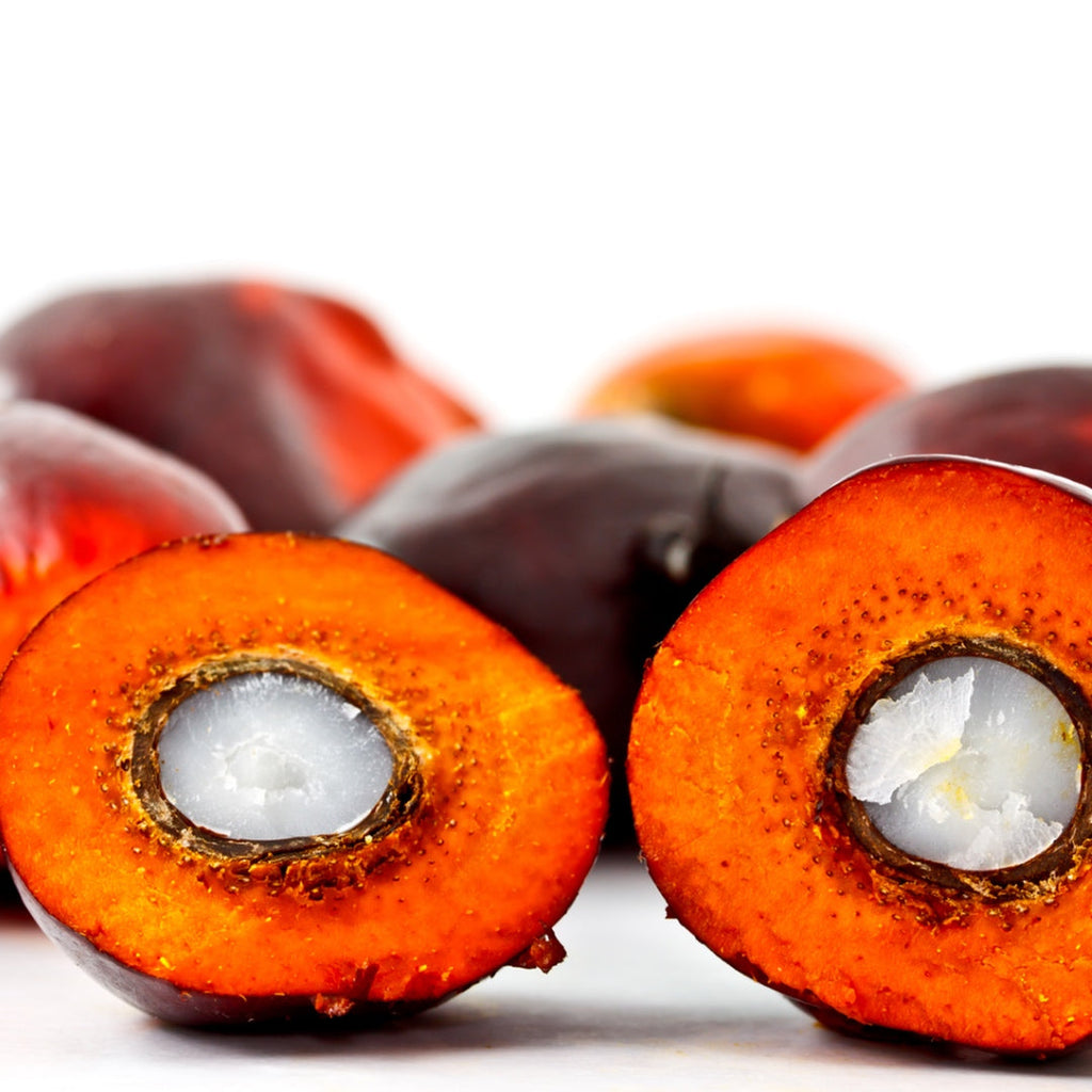 Elaeis Oleifera Kernel Oil, Honduras