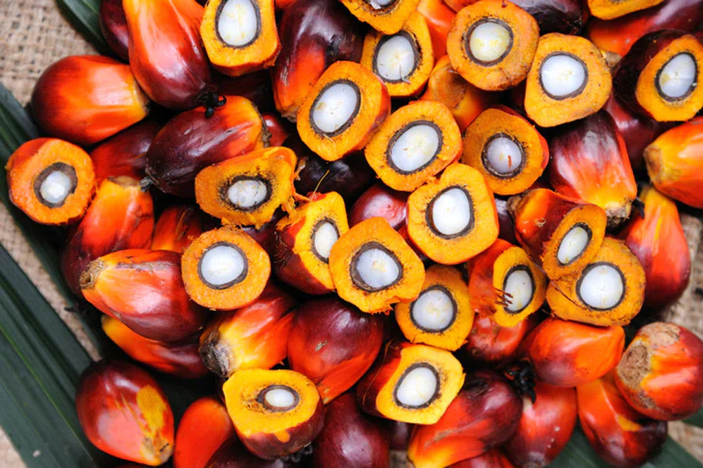 What Does Batana Oil Smell Like? How to Spot the Real Deal