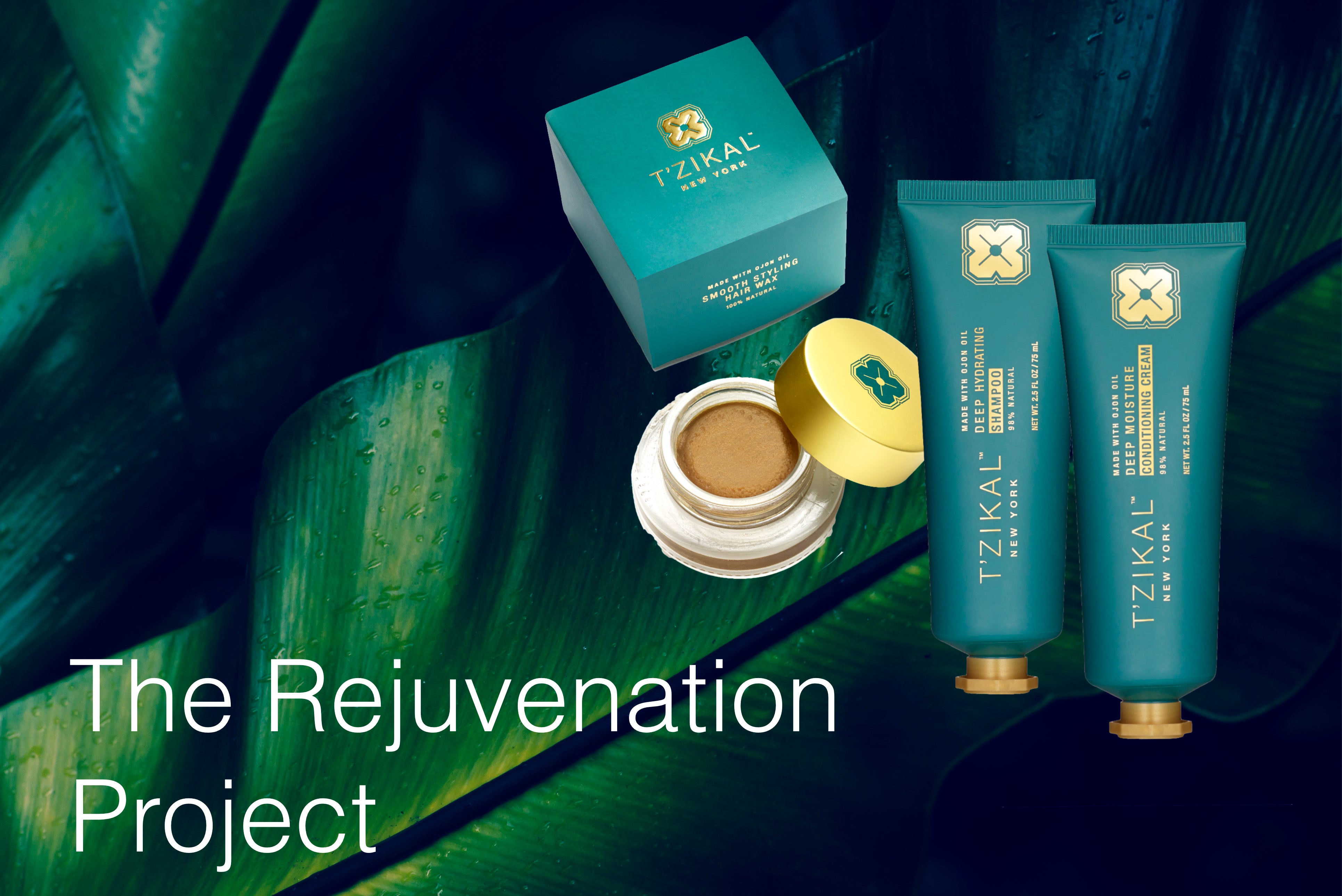 The Rejuvenation Project